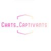 Chats_captivants