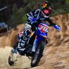 MotoFish
