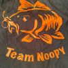 Flash noopy