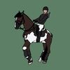 ★˚fv equine⌇