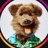 Hacker T Dog