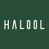 HALOOL GLASSES