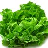 Lettuce🥗🌱🌿