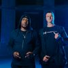 Higher Sector DNB