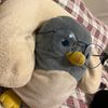 🐧🐧🐧🐧🐧🐧