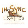 In-Sync Exotics