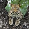 Inyati_game_lodge
