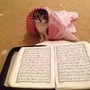 ❤️‍🩹 ٱلْحَمْدُ لِلَّٰهِ
