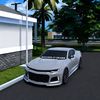ItsDevSWFL