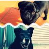 Jara and Max
