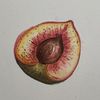 Razan | kitchenroot
