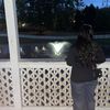 Amna