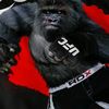 le plus fort 🦍