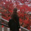 Lestrangecat🦋🍂🍁