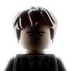 Limsbricks