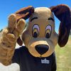 Longview PAWS