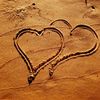 lovebugscribe