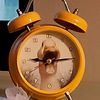 The Duck Clock