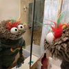 Marvin FuzzButt🇨🇦