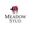 MeadowStud