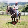 Silva🐴💯