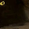 Merhedatixzdn