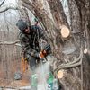 Middlesex Tree LLC