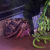 Hermies “cast”
