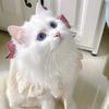 mistycloud30