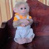 Monkey David