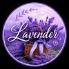 🪻LAVENDER🪻