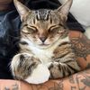 MostlyPenelope