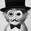MrMonkey