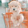 GAIN TRAINS🥺💗