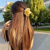 nova_ugc8
