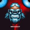 NriGoat