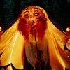 Paperhand Puppet Project