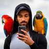 Parrotsofprimrose
