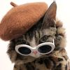 Petsaboom