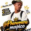 phenomene_mapico
