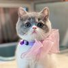 Pita Pixie