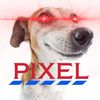 Pixel