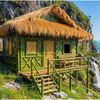 Primitive survival
