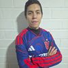 Profefut