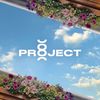 Project 8 Projects