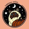 Pumpkin’s Patch