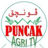 puncak