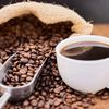 LC  coffee