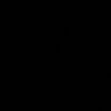 Pyrihs