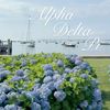QU Alpha Delta Pi